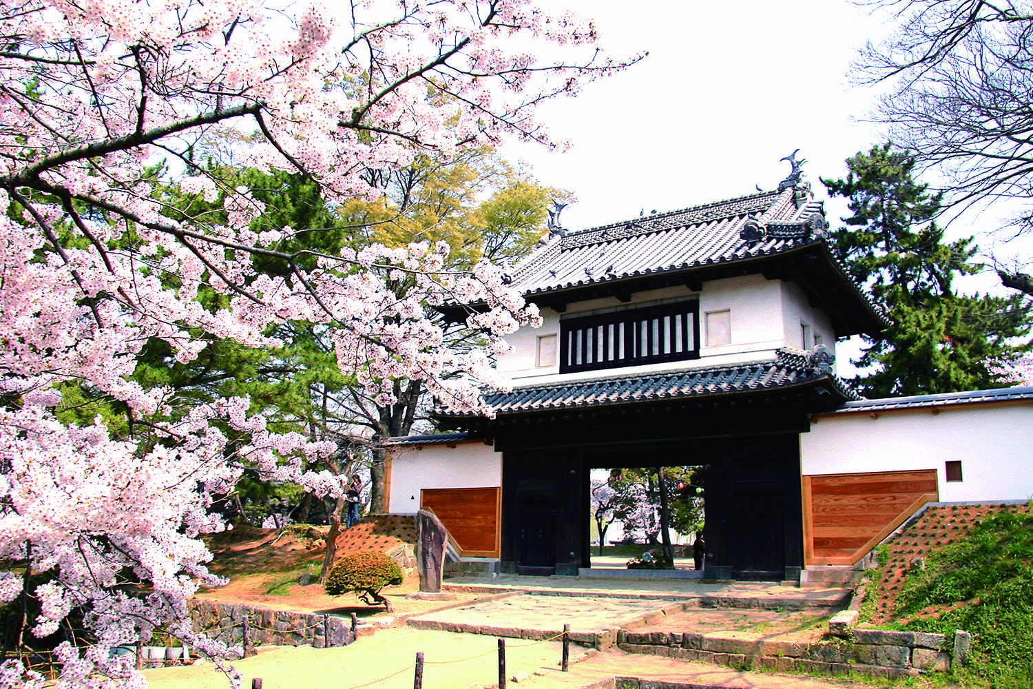 🏯 쓰치우라 성터(쓰치우라조아토) 이미지 5